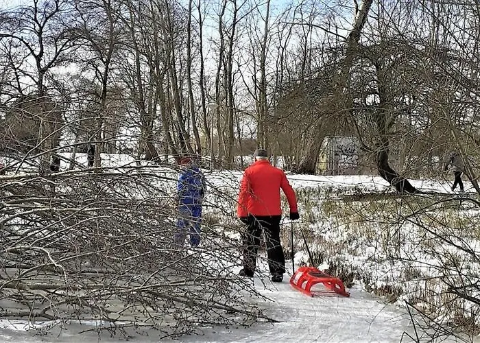 Semesterbostad In Near Ijsselmeer