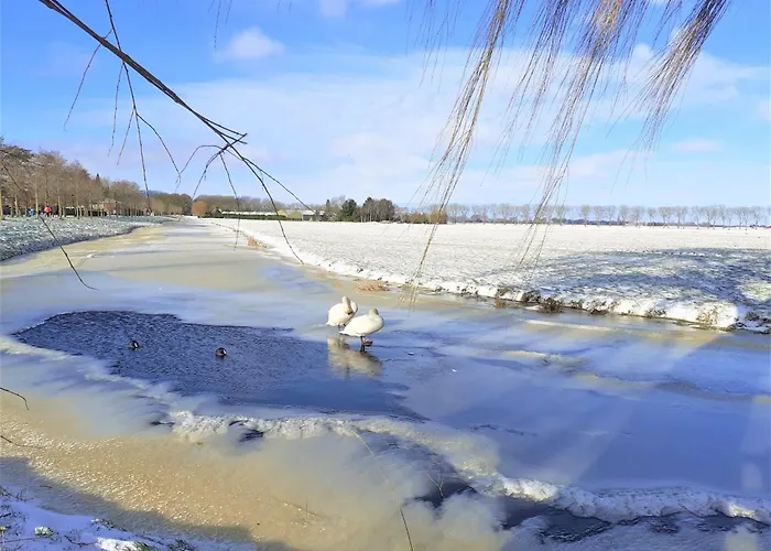 Semesterbostad In Near Ijsselmeer *